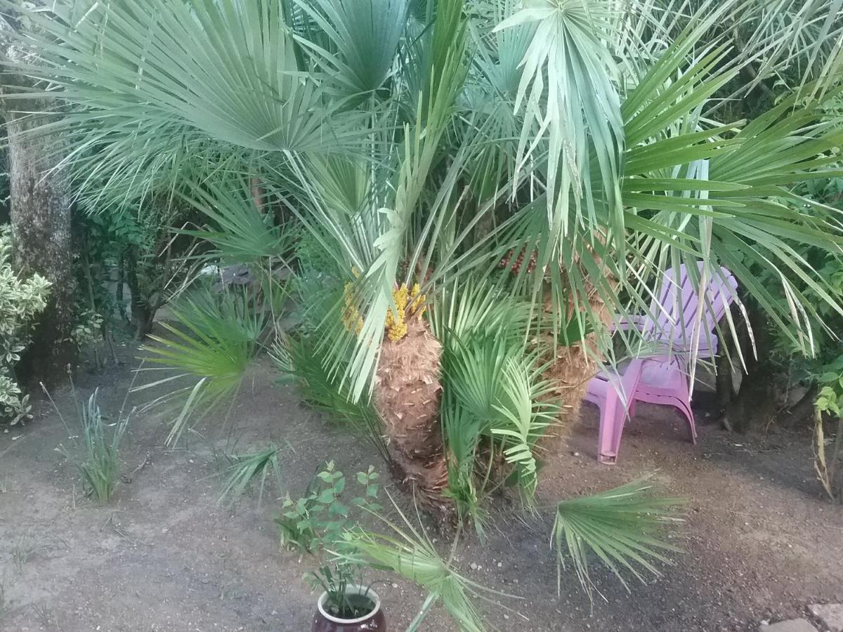 La Roseraie เอเทร ภายนอก รูปภาพ